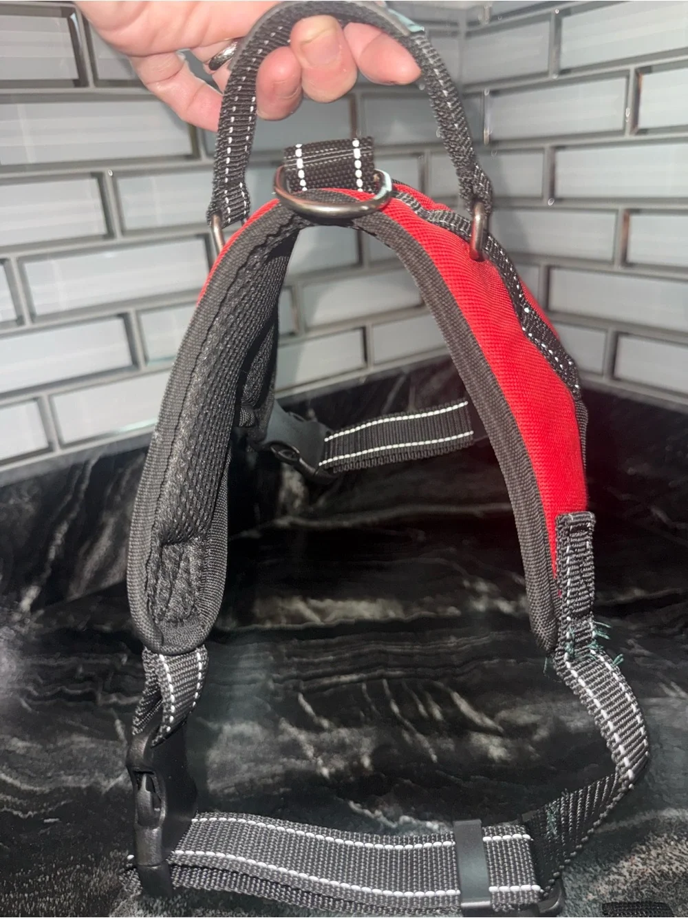 Tail Red Padded Dog Harness with Black Leash
